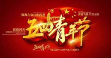 彼得比尔特379拼图